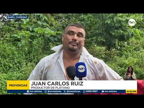 Productores de Barú y Alanje reportan graves pérdidas agrícolas por inundaciones