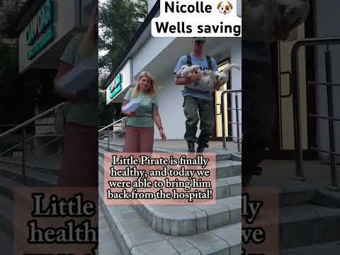 For any help consider donating link in bio to save a stray life in Los Angeles #rescuelife