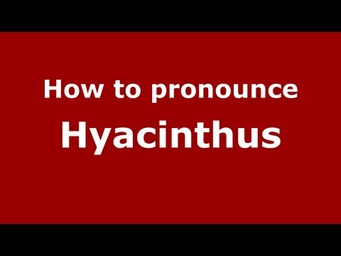 How to pronounce Hyacinthus