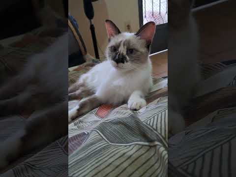 Vídeo de Tina