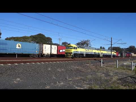 QL003 & QL001 light engine - 7/8/21