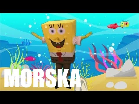 ČAROBNI ANIMATORI - MORSKA (BABY SHARK)