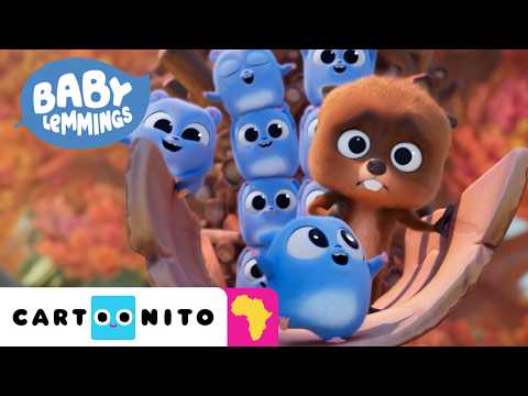 Beaver in Trouble! 🦫 Baby Lemmings to the Rescue! | NEW Baby Lemmings | Cartoonito Africa