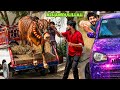 ALHAMDULILLAH APNA QURBANI KA TIGER PRINT JANWAR LE LIYA ️ MISHKAT KHAN COW MANDI