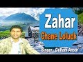 Latest Kashmiri Song 2019 || Ma Cho Dame Damy Zahar Chane Loluck || Gulfam Ansar