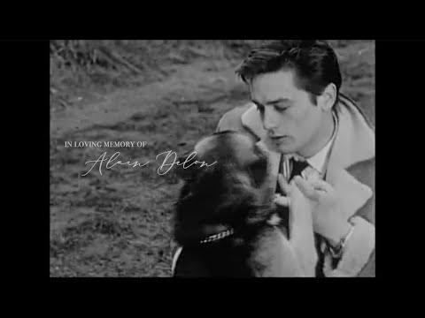 in loving memory of Alain Delon