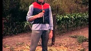 The Deviates Road Trip