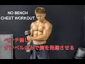 ベンチ無しでも胸を鍛えるダンベル筋トレ[No Bench Chest Workout]