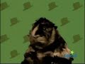 ELMO S WORLD HEAD TO TOE WITH ELMO 2003 VHS