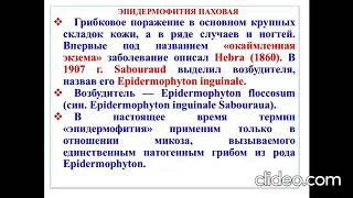 Грибковые инфекции кожи