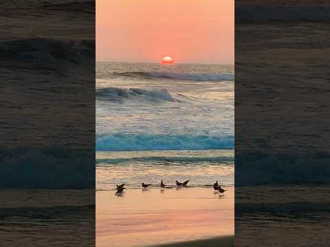 #Sunset en #playa #grecia #ultimos #dias de #sol #atardecer #cañete #lima #peru #2026 #viral #ai #ia