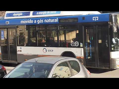 STCP linha 805 veiculo 3111