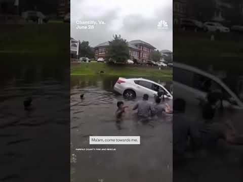 Rescuers form human chain to save driver from sinking car