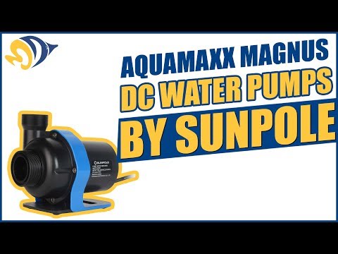 download lagu mp3 mp4 Sunpole, download lagu Sunpole gratis, unduh video klip Sunpole