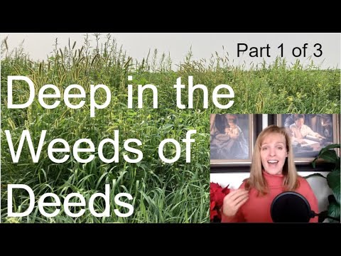 102: Deep in the Weeds of the Deeds
