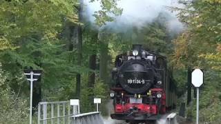 preview picture of video 'Dampflok: Herbstdampf der Weißeritztalbahn - Steam Train - Teil 2/2'