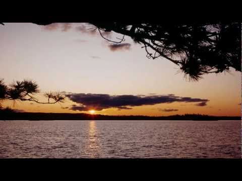 Adrian Lux, The Good Natured - Alive (Basto Remix) Lyrics