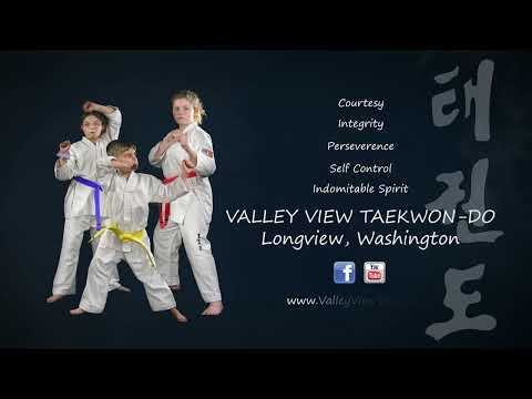 Valley View Taekwon-Do Promo