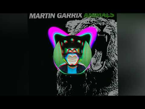 Animals VS Live The Night