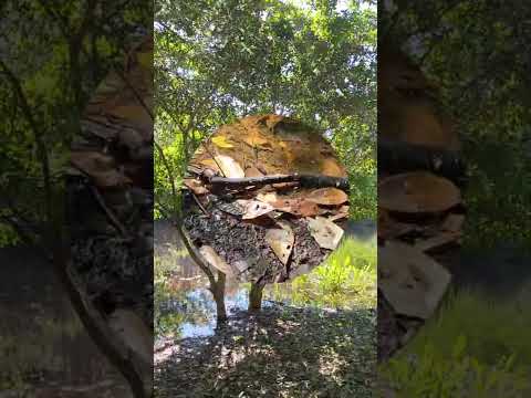 2do lugar INFLUENCERS RURALES GUATEMALA: Heidy Guerra de Melchor de Mencos