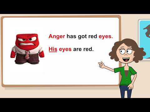 🇬🇧 Les déterminants possessifs en anglais