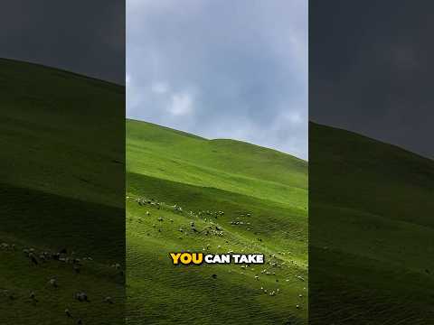 ⚠️Dangerously Beautiful: This Meadow Will Steal Your Heart (Ali Bedni Bugyal Trek)