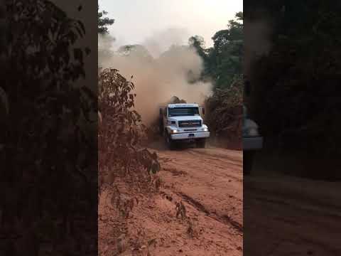 Mercedes 2638 carregado de tora engolindo no top