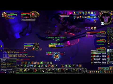Hunter solo - Durendil vs Carapace of N'zoth Heroic