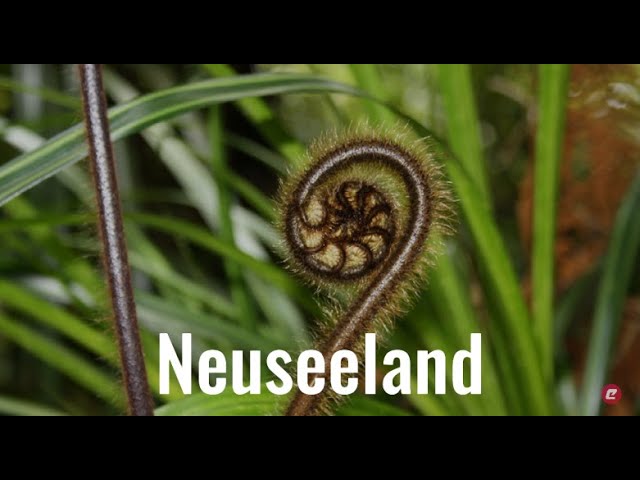 Neuseeland – Rundreise ans andere Ende der Welt