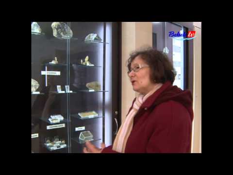 Hoinar in Vest - Muzeul Aurului din Brad