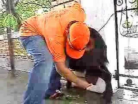 Fietas Paseo 2006 - Viandar de la Vera