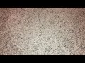 A Few VHS Tapes I M Donating To Goodwill 11 9 2021 Part 2 Final