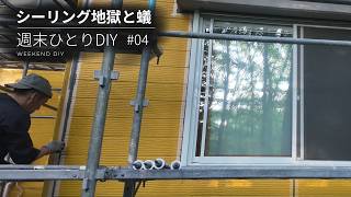 #04 シーリング地獄とアリ問題｜ひとりDIYで外壁再塗装