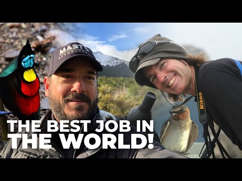 Dream Job: Globetrotting Birding Guide & Conservationist | Studio Sessions Episode 1