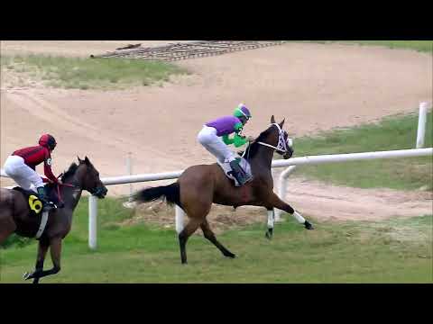 221119 c01 LINDA DAMA