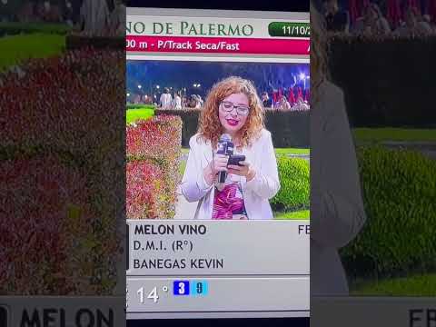 Saludos desde @palermoturf a las Agencias de Salto, Bragado y Villa Constitución @turf365.bet