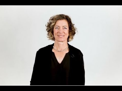 Paralegals and Legal Assistants: The Unsung Heroes of the Law