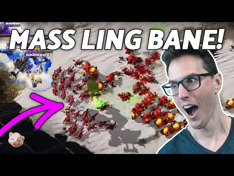 StarCraft 2 - REYNOR’s ZvT GAMBLES vs CLEM (Best-of-5)