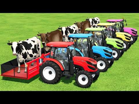 COWS TRANSPORTING WITH ISEKI MINI COLORED TRACTORS - Farming Simulator 22
