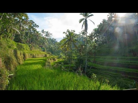 Jagat Dewata - A.A. Raka Sidan ft Dek Ulik. ngiring lestariang gumi Baline  #Baliculture #baliisland