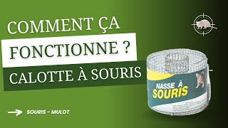 Conseil anti-nuisibles 1