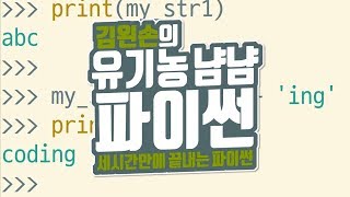문자열 연산하기 | 유기농냠냠파이썬 | 김왼손의 왼손코딩
