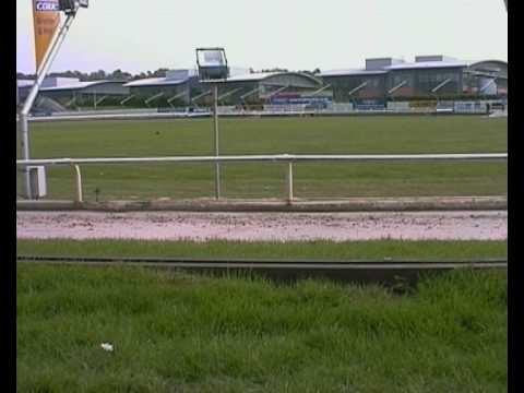 Coral Hove Greyhound Stadium unused promo DVD 3.51