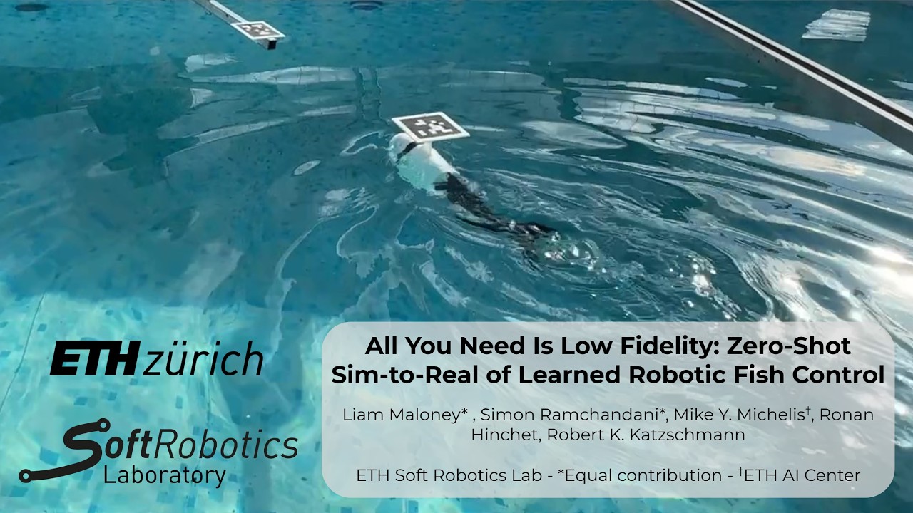 Supplementary video: the soft robotic fish swimming to targets in an outdoor pool.