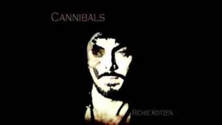 Richie Kotzen - The Enemy