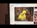 Sesame Street PBS