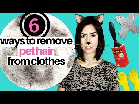 6 WAYS TO REMOVE PET HAIR FROM CLOTHING