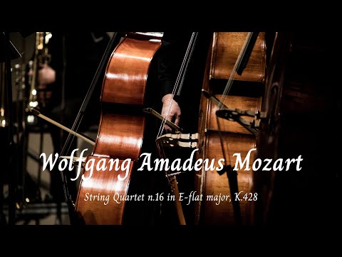 String Quartet n.16 in E-flat major, K.428 - Wolfgang Amadeus Mozart 🎵