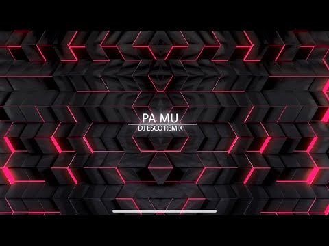 PA MU - DJ ESCO (REMIX) #dhuratadora #pamu #hit