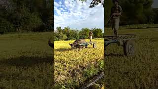 Download lagu Carabao Is Still A Farmer's Best Friend mp3 Download lagu Carabao Is Still A Farmer's Best Friend mp3